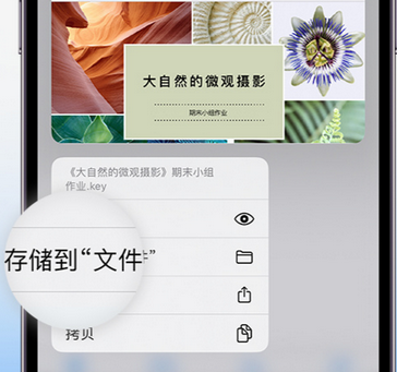 随县apple维修中心分享iPhone文件应用中存储和找到下载文件