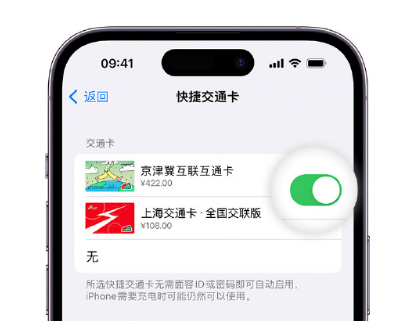 随县apple维修点分享iPhone上更换Apple Pay快捷交通卡手绘卡面 