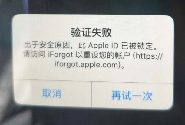 随县iPhone维修分享iPhone上正常登录或使用AppleID怎么办 