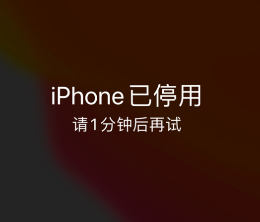 随县苹果手机维修分享:iPhone 显示“不可用”或“已停用”怎么办？还能保留数据吗？ 