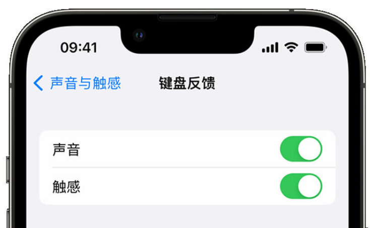 随县苹果手机维修分享iPhone 14触感键盘使用方法 