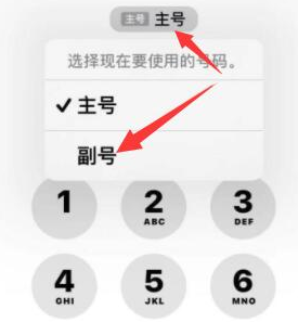 随县苹果14维修店分享iPhone 14 Pro Max使用副卡打电话的方法 