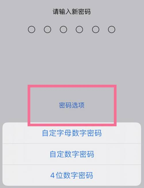 随县苹果14维修分享iPhone 14plus设置密码的方法 