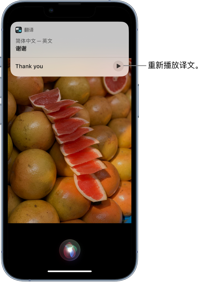 随县苹果14维修分享 iPhone 14 机型中使用 Siri：了解 Siri 能帮你做什么 