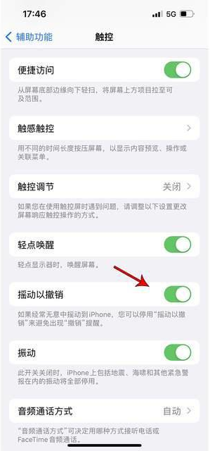 随县苹果手机维修分享iPhone手机如何设置摇一摇删除文字 