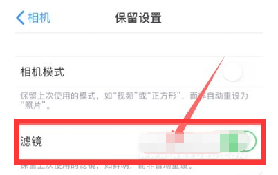 随县苹果13维修分享iPhone13拍照有绿点是怎么回事 
