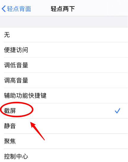 随县苹果手机维修分享iPhone12如何启用双击截屏 