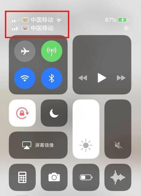 随县苹果手机维修分享为 iPhone 12 双卡设置标签 