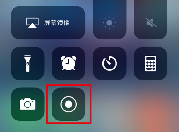 随县苹果手机维修分享iPhone12录屏方法教程 